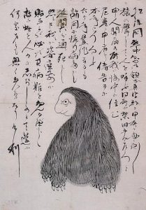 アマビコの姿を描いた図