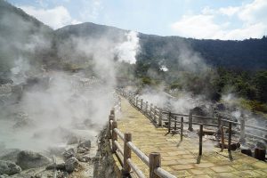 天草四郎の妖術の姿を描いた図