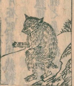 化け狸の姿を描いた図
