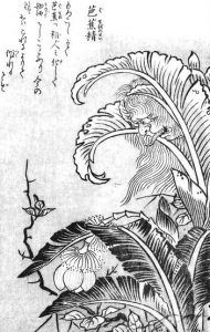 芭蕉精の姿を描いた図