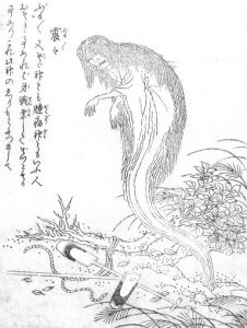 震々の姿を描いた図