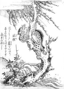 風狸の姿を描いた図