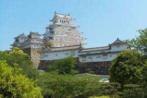 池中の綿の姿を描いた図
