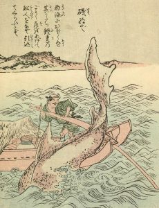 磯撫での姿を描いた図
