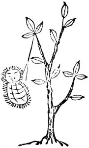 常元虫の姿を描いた図