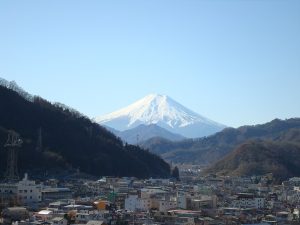 片目の鰻の姿を描いた図