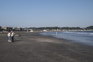 由比ヶ浜の鰹の姿を描いた図