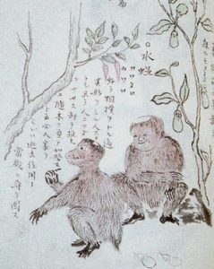ケンムンの姿を描いた図