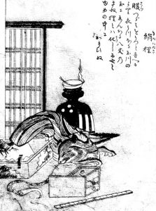絹狸の姿を描いた図