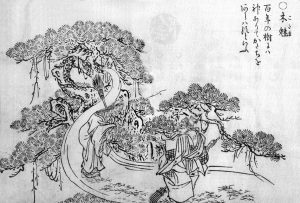 木霊の姿を描いた図