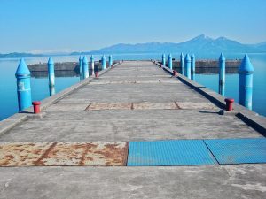 湖水の主の姿を描いた図