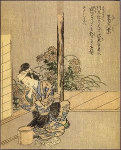 葛の葉の姿を描いた図