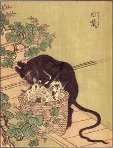 旧鼠の姿を描いた図