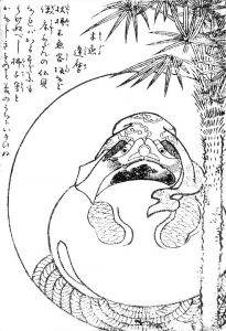 木魚達磨の姿を描いた図