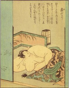 寝肥の姿を描いた図