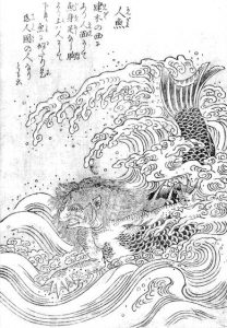 人魚の姿を描いた図