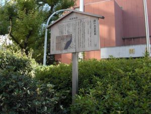 落葉なき椎の姿を描いた図