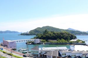 大鯨の姿を描いた図