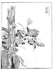 逆柱の姿を描いた図