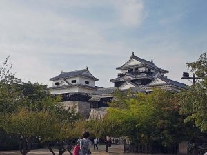 節会桜の姿を描いた図