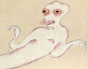 白うかりの姿を描いた図