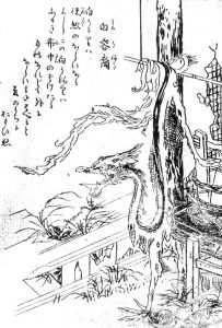 白溶裔の姿を描いた図