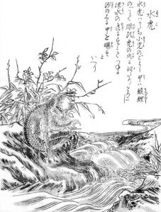 水虎の姿を描いた図