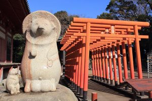 太三郎狸の姿を描いた図