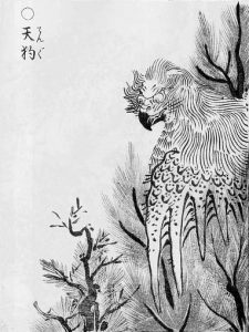 天狗の姿を描いた図