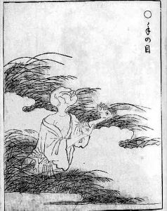 手の目の姿を描いた図