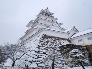トボ作の姿を描いた図