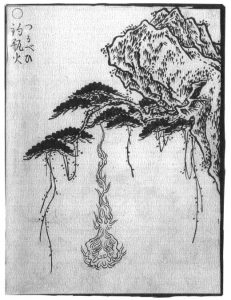釣瓶火の姿を描いた図