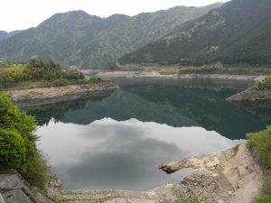 山の神の木の姿を描いた図